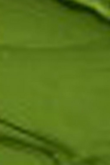 Grumbacher Pre-Tested Oil: Green Gold Hue 37ml