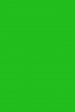 Derivan Brush & Finger Color: Green 1 Liter