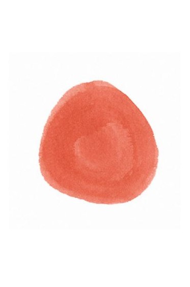 Higgins Dye Based Ink: Red Orange 29.6ML