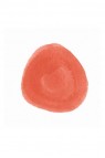 Higgins Dye Based Ink: Red Orange 29.6ML