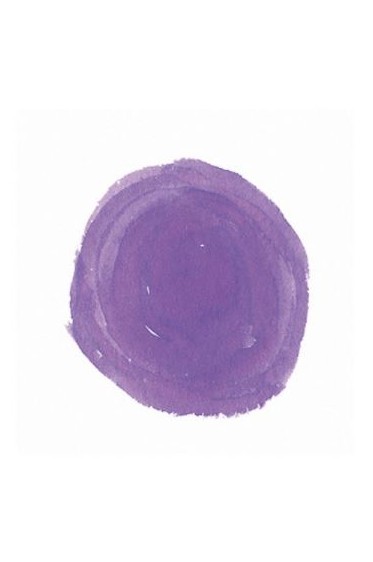 Higgins Dye Based Ink: Red Violet 29.6ML