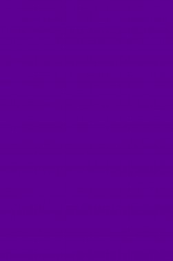 Derivan Brush & Finger Color: Purple 1 Liter