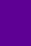 Derivan Brush & Finger Color: Purple 1 Liter