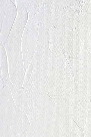Gamblin Relief Inks: Titanium White 175ml