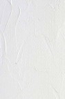Gamblin Relief Inks: Titanium White 175ml