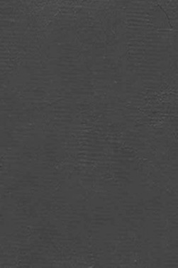 Gamblin Etching Inks: Graphite 300ml