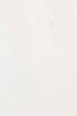 Gamblin Artist Oil: Radiant White 150ml