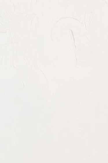 Gamblin Artist Oil: Radiant White 150ml