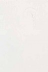 Gamblin Artist Oil: Radiant White 150ml