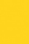 Liquitex Basics Acrylic Studio: Cadmium Yellow Medium Hue 22ml