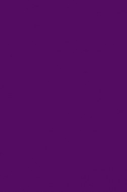 Liquitex Basics Acrylic Studio: Deep Violet  22ml