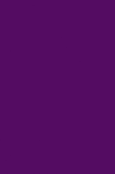 Liquitex Basics Acrylic Studio: Deep Violet  22ml