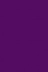Liquitex Basics Acrylic Studio: Deep Violet  22ml