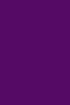 Liquitex Basics Acrylic Studio: Deep Violet  22ml