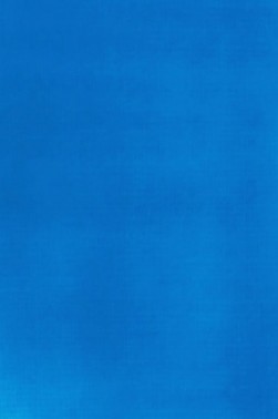 Liquitex Basics Acrylic Studio: Fluorescent Blue 22ml