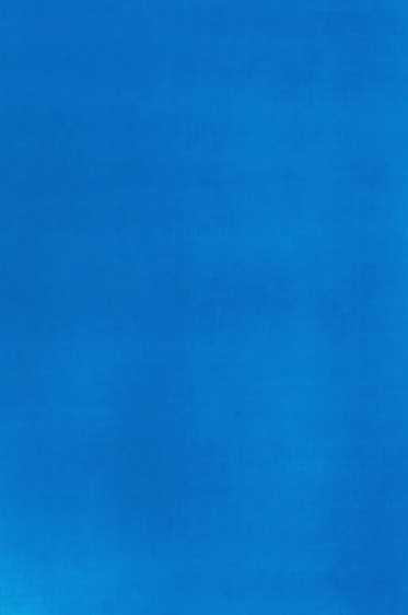 Liquitex Basics Acrylic Studio: Fluorescent Blue 22ml