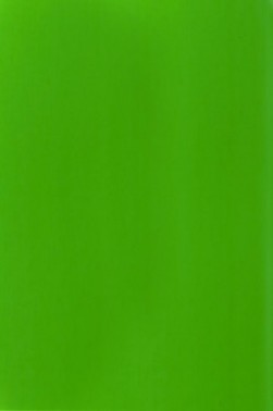 Liquitex Basics Acrylic Studio: Fluorescent Green 22ml