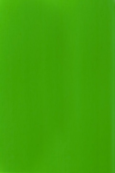 Liquitex Basics Acrylic Studio: Fluorescent Green 22ml