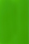 Liquitex Basics Acrylic Studio: Fluorescent Green 22ml