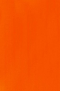 Liquitex Basics Acrylic Studio: Fluorescent Orange 22ml