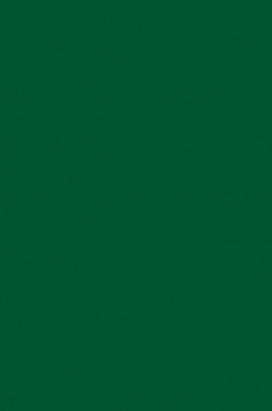 Liquitex Basics Acrylic Studio: Green Deep Permanent 22ml