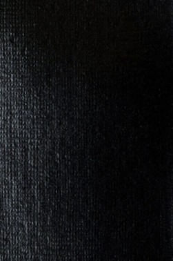 Liquitex Basics Acrylic Studio: Iridescent Graphite 22ml