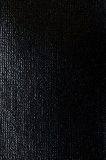 Liquitex Basics Acrylic Studio: Iridescent Graphite 22ml