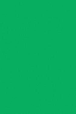 Liquitex Basics Acrylic Studio: Light Green Permanent 22ml