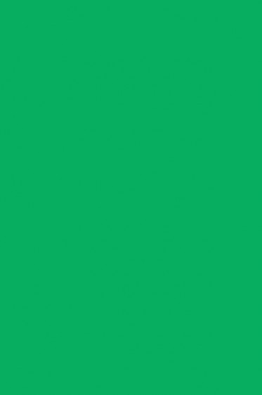 Liquitex Basics Acrylic Studio: Light Green Permanent 22ml
