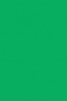 Liquitex Basics Acrylic Studio: Light Green Permanent 22ml
