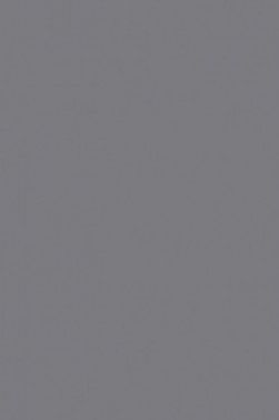 Liquitex Basics Acrylic Studio: Neutral Gray Value 5 22ml