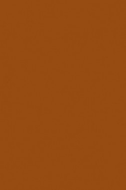 Liquitex Basics Acrylic Studio: Raw Sienna 22ml
