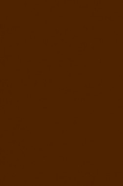 Liquitex Basics Acrylic Studio: Raw Umber 22ml