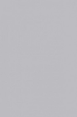 Liquitex Basics Acrylic Studio: Silver 22ml