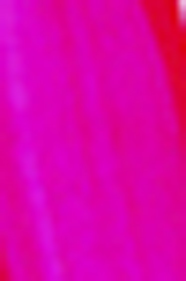Golden Heavy Body Acrylic: Fluorescent Magenta 118ml