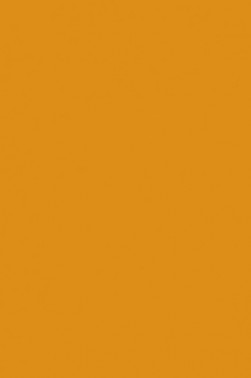 Liquitex Basics Acrylic Studio: Yellow Oxide 22ml