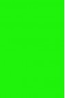 Nara Polymer Clay: Neon Green 55 grams