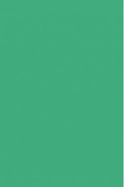 Liquitex Basics Acrylic Studio: Bright Aqua Green 118ml