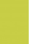 Liquitex Basics Acrylic Studio: Brilliant Yellow Green 22ml