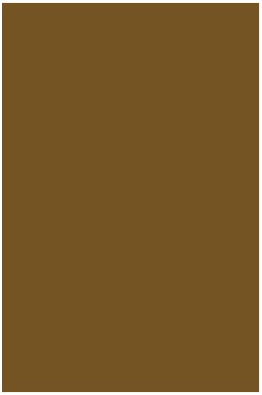 Liquitex Basics Acrylic Studio: Bronze Yellow 22ml