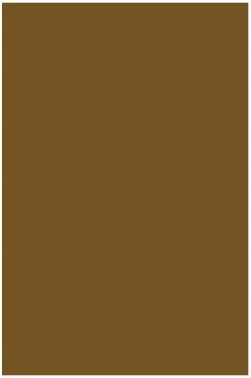 Liquitex Basics Acrylic Studio: Bronze Yellow 118ml