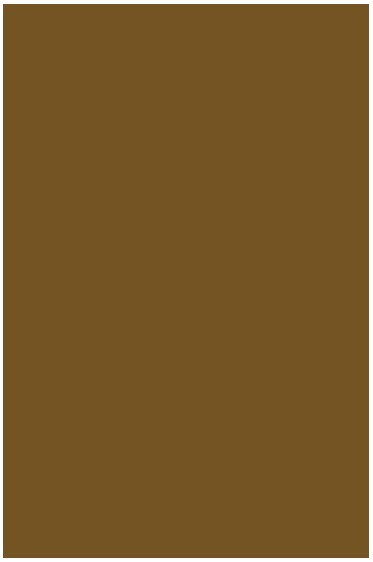 Liquitex Basics Acrylic Studio: Bronze Yellow 118ml