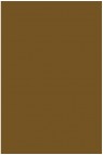 Liquitex Basics Acrylic Studio: Bronze Yellow 118ml