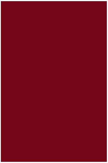 Liquitex Basics Acrylic Studio: Cadmium Red Deep Hue 22ml