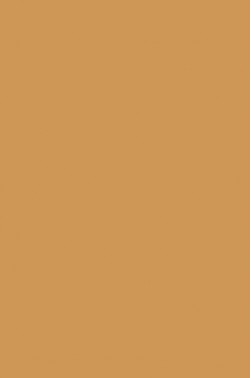 Liquitex Basics Acrylic Studio: Copper 22ml