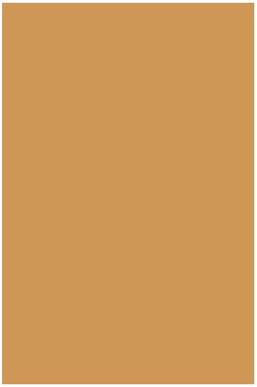 Liquitex Basics Acrylic Studio: Copper 22ml