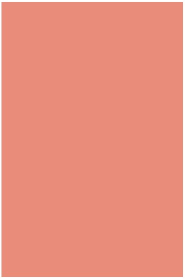 Liquitex Basics Acrylic Studio: Light Portrait Pink 22ml