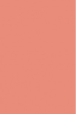Liquitex Basics Acrylic Studio: Light Pink 118ml