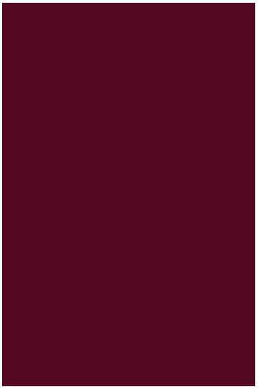 Liquitex Basics Acrylic Studio: Quinacridone Magenta 118ml