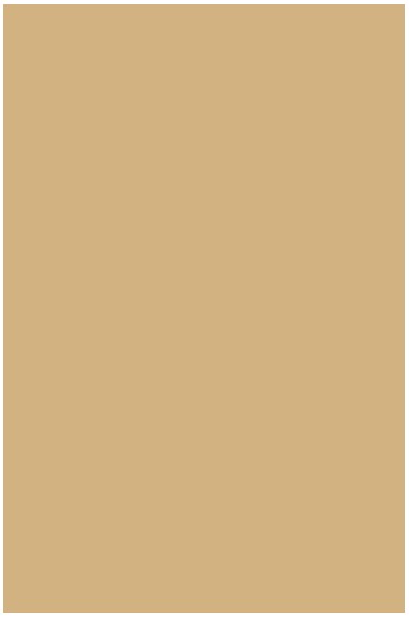 Liquitex Basics Acrylic Studio: Unbleached Titanium 22ml